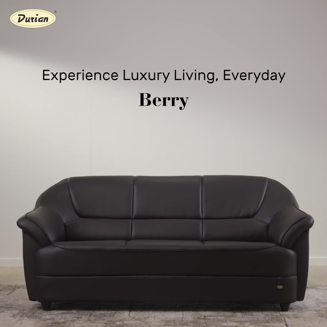 Buy Berry Two Seater Cocoa Brown Premium Leatherette Sofa Online